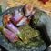 Cooksnap dari Rhyn.rm untuk resep Sambal Terong Balado (tanpa tomat)