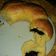 Cooksnap dari rami 321 untuk resep Vanilla milk mini sweet bun (no ulen)