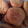 caroline Akello's cooksnap of when they made Mahamri ya iliki na tui la nazi #4wkschallenge#charityrecipe#.