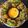 Jayshree Doshi's cooksnap of when they made મેથી ના ગોટા (Methi Gota Recipe in Gujarati).