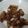 Cooksnap dari Lin Lin untuk resep Sam can  goreng  crispy