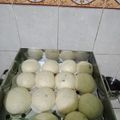 Cooksnap dari maryati untuk resep Bakpao Kukus simpel