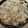 Vaishali Vora's cooksnap of when they made સાબુદાણાની ખીચડી (Sabudana Khichdi Recipe In Gujarati).