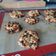 Cooksnap de Lo Reine sur la recette Cookie healthy aux flocons d'avoine et chocolat