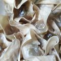 Cooksnap dari Myrna Kusuma untuk resep Siomay Aci