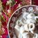 Cooksnap Maisarah Mamat semasa beliau membuat Laksam simple.