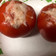 El cooksnap de Leslie Caroline Bórquez Farías cuando hizo Tomate relleno.
