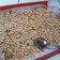 Cooksnap dari Triya Kurniawati untuk resep Kacang Bawang Asin Gurih Dan Renyah