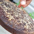 Cooksnap dari Selia Rimeida untuk resep Brownies Tepung Mocaf