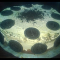 El cooksnap de Haydee Agreda cuando hizo Tarta de galletas oreo casera.