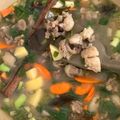 Cooksnap dari Widya Rusfitasari untuk resep Sop Daging Sapi Khas Minang