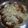 Cooksnap dari Dini Praha untuk resep Pasta Penne Ziti Bolognese