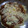 Cooksnap dari Dini Praha untuk resep Pasta Penne Ziti Bolognese