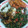 Cooksnap dari Hardiyanti Chandra Dewi untuk resep Keong/kakul sune cekuh