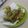 Cooksnap dari Ina untuk resep Kangkung crispy tempura pawon si mbok