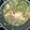 Afton H Oneal's cooksnap of when they made Smack ya Mama Collard greens with smoke meat.