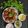 Sudha Banjara Vasani's cooksnap of when they made દાળવડા(Dal vada recipe in Gujarati).