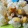 Cooksnap dari Historina untuk resep Cihu (Aci + Tahu)