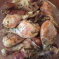 jennischimp's cooksnap of when they made Vickys Garlic & Smoked Paprika Chicken Drumsticks GF DF EF SF NF.