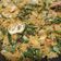 Cooksnap dari Dewi Indah Ayu Diantiningrum untuk resep Urap daun kencur