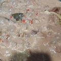 Cooksnap dari Diah Purnamasari untuk resep Sayur Gudeg Nangka Muda