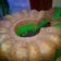 Cooksnap dari Sandra Risma untuk resep Cake Kukus 2Lapis