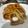 El cooksnap de Rocio Alvarez cuando hizo Fideos con calamares y langostinos.