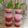 Cooksnap dari Brelea Gaitsasaufa untuk resep Puding cup 2 lapis