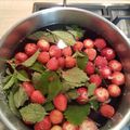 Erika Cooksnap-ja, amikor elkészítette a(z) Epres, cseresznyés mentás limonádé 🍹🍓🍒🍹 receptet.