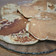 El cooksnap de Antonela Acuña cuando hizo Panqueques con avena integral quaker.