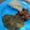 Bright Matapa's cooksnap of when they made Chigwada (Cassava leaves in groundnut flour).