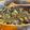 Rachel G's cooksnap of when they made Palak Paneer.
