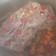 El cooksnap de Carolina Mestre cuando hizo Bondiola de cerdo a la cerveza negra.