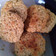 El cooksnap de Maria Elizabeth Aguiar cuando hizo Galletitas Saludables de Avena y Limón ❤️.