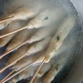 Cooksnap dari Eva Siva untuk resep Sempol Terigu