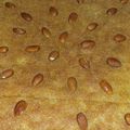 صورة من Shimaa، شاركها بعد تجربة وصفة بسبوسه الطازج يمم 🍴🍽😋