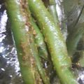 Avanya का कुकस्नैप जब उन्होंने राई हरी मिर्च का अचार (rai hari mirch ka achar recipe in Hindi) बनाया था।