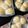 KattyeNieto's cooksnap of when they made Dinner Rolls.