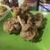 Cooksnap dari Bunda Bizhar untuk resep Chicken Drum Stick #BikinRamadanBerkesan