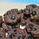 Cooksnap dari Dani untuk resep Choco Cookies Teflon