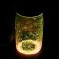 TyB's cooksnap of when they made Fairies in a Jar.