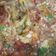 Akanksha Pulkit का कुकस्नैप जब उन्होंने बैगन टमाटर भरता(baingan tamaatar bharta recipe in hindi) बनाया था।