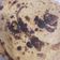 Chanchan Aggarwal का कुकस्नैप जब उन्होंने बेसन का चीला (besan ka cheela recipe in Hindi) बनाया था।