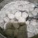 Cooksnap dari ALuna Andrea S Tian untuk resep Bakso Sapi Kenyal Renyah Alami