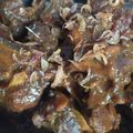 Cooksnap dari Dwi Antin Yudhi Hapsari untuk resep Semur iga sapi by YV