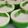 Cooksnap dari Bunda Arfa untuk resep Kue Talam Pandan Tepung Beras Tanpa Tapioka