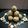 Sumedha Joshi's cooksnap of when they made मखाना लाडू (makhana ladoo recipe in marathi).