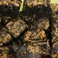 Cooksnap dari Lydia Widjaja untuk resep Brownies panggang
