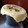 Cooksnap dari Nisa Umara untuk resep Kulit puff pastry irit no corsvet