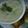 Cooksnap dari Luxy untuk resep Cream Soup Bahan Seadanya Tapi Yummy